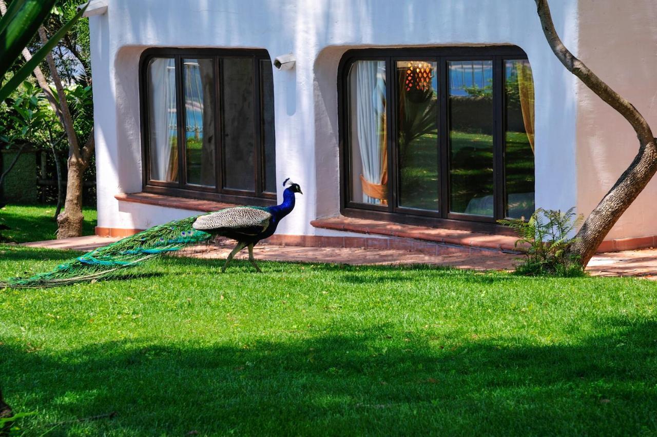 Arbatax Park Resort - Ville Del Parco Екстериор снимка